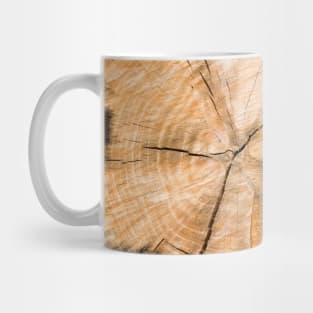 Wooden Tree Circle Texture Mug